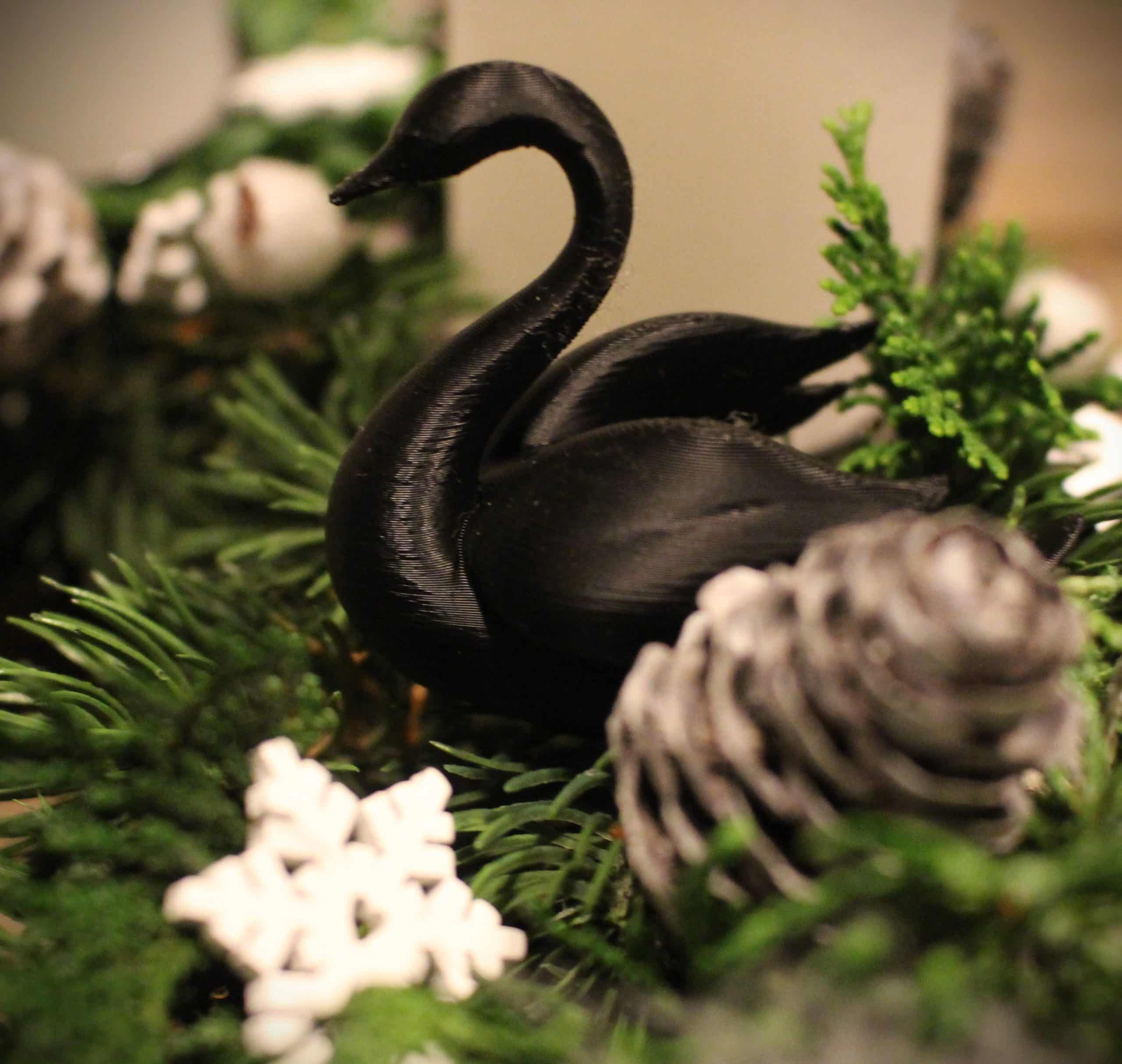 Schwanensee4